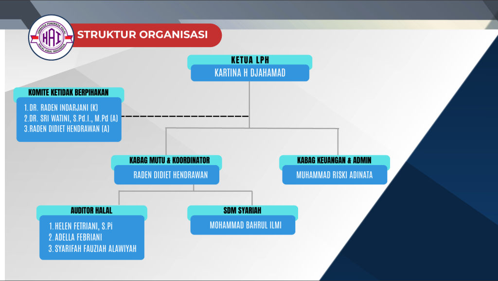 Struktur Organisasi New