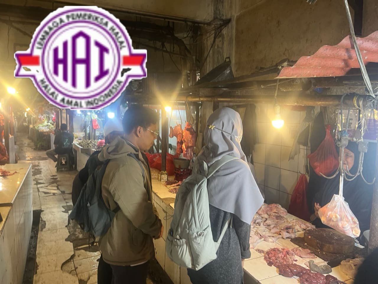 Artikel Berita & Update Auditor HAI